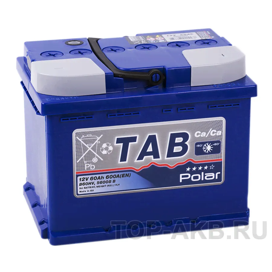 Автомобильный аккумулятор Tab Polar 60R (600A 242x175x190) 121060 56008-0