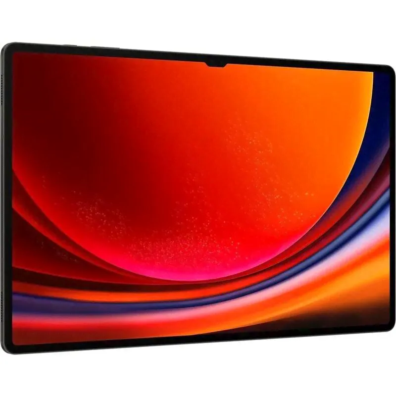 Samsung Galaxy Tab S9 Ultra 5G SM-X916 12/512Gb, Graphite-1